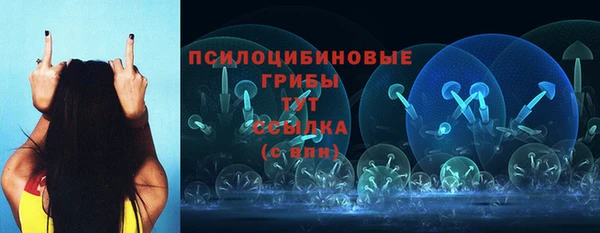 СК Беломорск