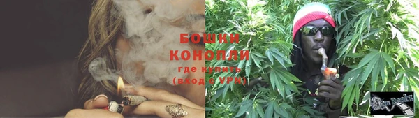 стаф Елизово
