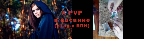 молекула духа Белокуриха