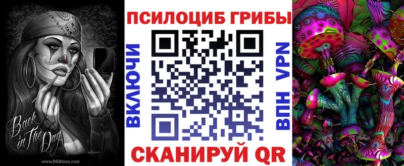 Псилоцибиновые грибы прущие грибы  Волосово 